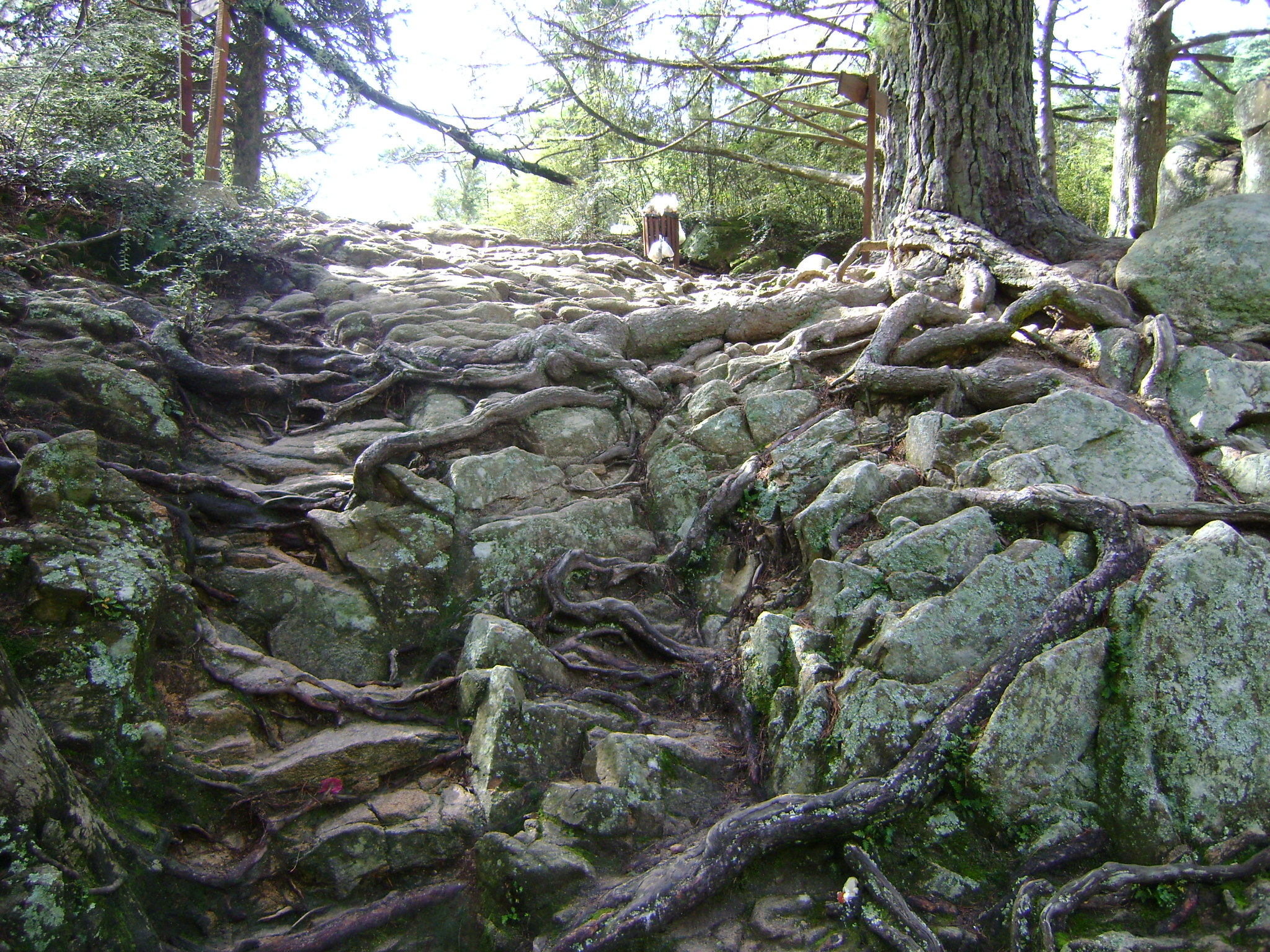 fotos/2011 - Los Reartes/DSC03389.JPG